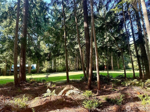 11307 Country Club Dr, Anderson Island, WA 98303 - photo 3