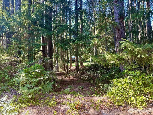 11307 Country Club Dr, Anderson Island, WA 98303 - photo 4