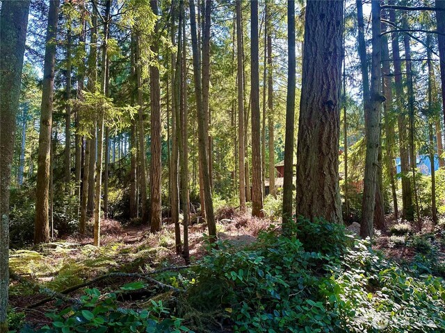 11307 Country Club Dr, Anderson Island, WA 98303 - photo 5