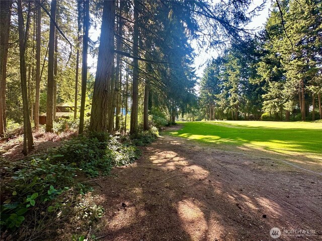 11307 Country Club Dr, Anderson Island, WA 98303 - photo 6