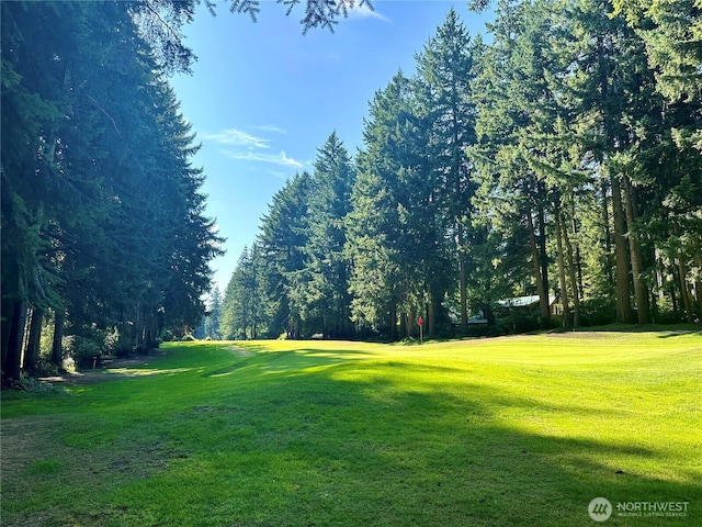11307 Country Club Dr, Anderson Island, WA 98303 - photo 7