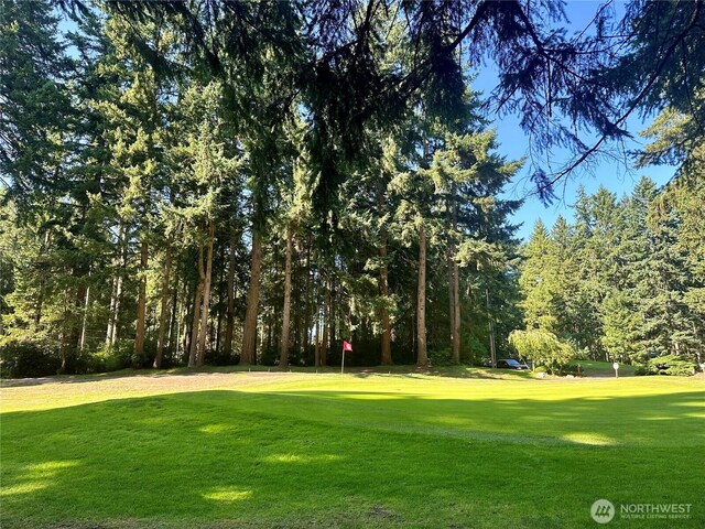 11307 Country Club Dr, Anderson Island, WA 98303 - photo 8