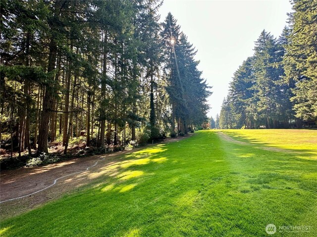 11307 Country Club Dr, Anderson Island, WA 98303 - photo 9