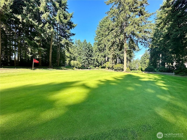 11307 Country Club Dr, Anderson Island, WA 98303 - photo 10