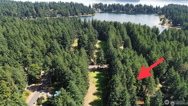 11307 Country Club Dr, Anderson Island, WA 98303 - photo 11