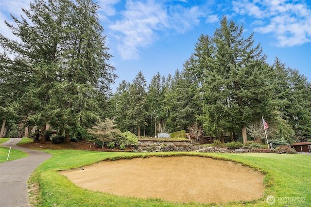 11307 Country Club Dr, Anderson Island, WA 98303 - photo 12