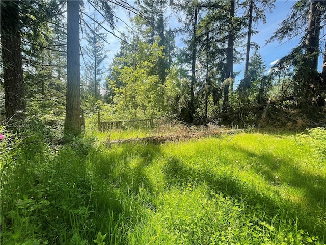 17533 E Clear Lake Blvd SE, Yelm, WA 98597