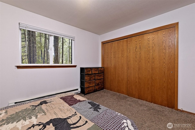 201 E Sleaford Rd, Shelton, WA 98584 - bedroom with baseboard heating, carpet floors, and a closet