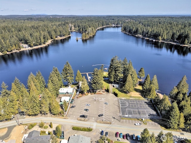 201 E Sleaford Rd, Shelton, WA 98584 - aerial view of property's location with a heavily wooded area and a nearby body of water