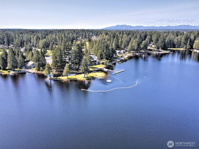201 E Sleaford Rd, Shelton, WA 98584 - aerial view of a forest and a water and mountain view