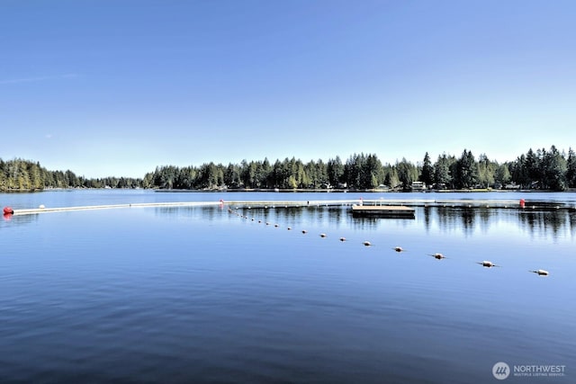 201 E Sleaford Rd, Shelton, WA 98584 - water view with a forest