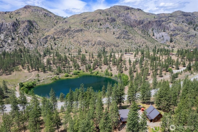 21 Oakes Dr, Tonasket, WA 98855 - view of mountain backdrop with a nearby body of water