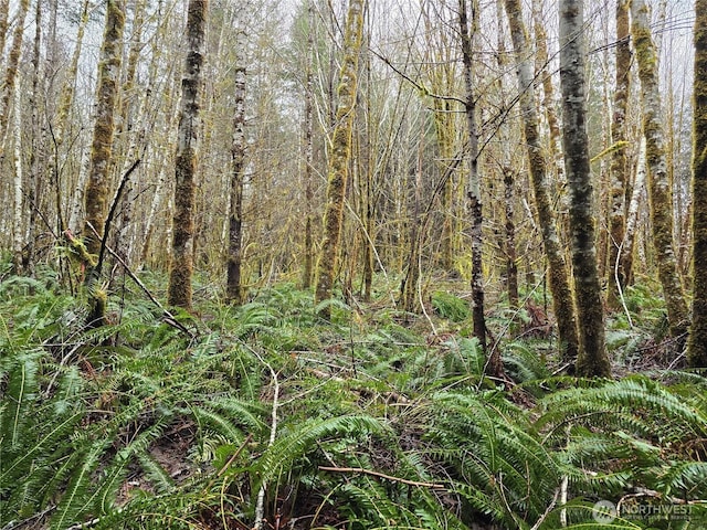 261 W Elk Hill Rd, Elma, WA 98541