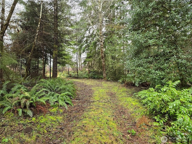261 W Elk Hill Rd, Elma, WA 98541