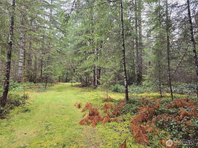 261 W Elk Hill Rd, Elma, WA 98541