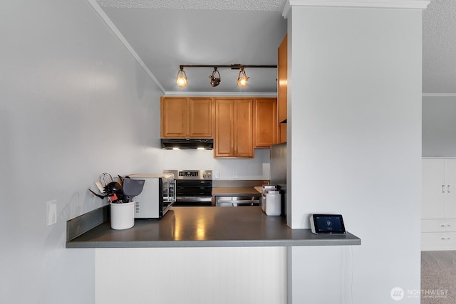 7924 SW 212th St Unit 211, Edmonds, WA 98026 - kitchen featuring under cabinet range hood, stainless steel range with electric stovetop, dark countertops, and track lighting
