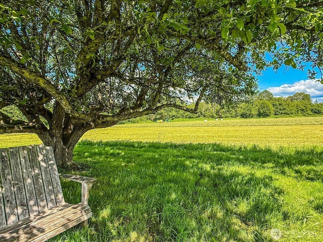 1405 226th St NW, Silvana, WA 98287 - view of grassy yard