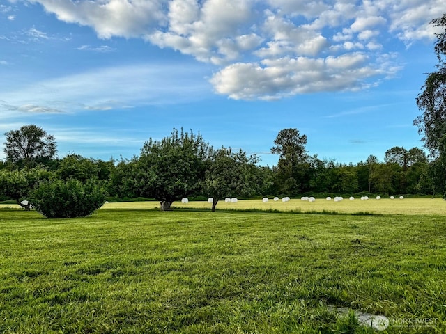 1405 226th St NW, Silvana, WA 98287 - view of grassy yard