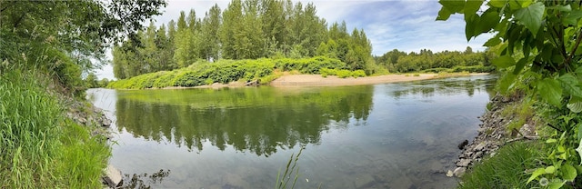 1405 226th St NW, Silvana, WA 98287 - water view featuring a forest