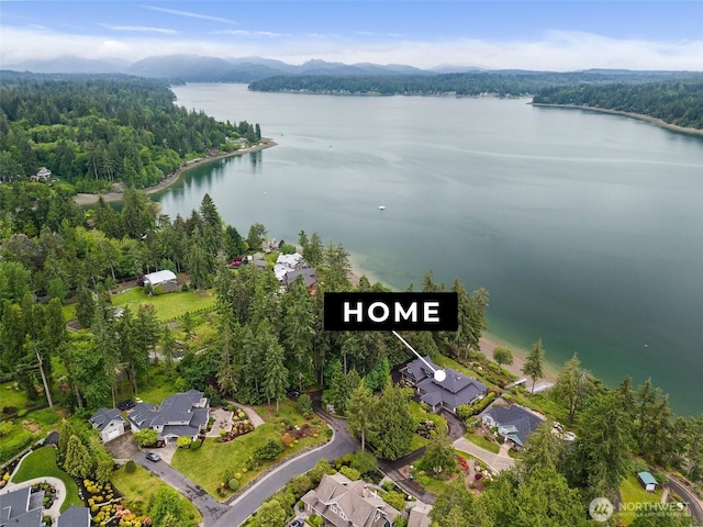 4825 Bayshore Ln NW, Olympia, WA 98502 - aerial view of property's location featuring a nearby body of water, a heavily wooded area, and nearby suburban area