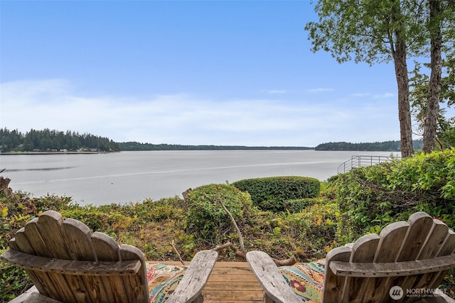 4825 Bayshore Ln NW, Olympia, WA 98502 - water view