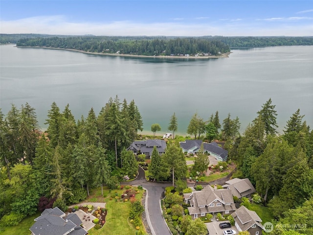 4825 Bayshore Ln NW, Olympia, WA 98502 - aerial view of residential area featuring a nearby body of water and a heavily wooded area