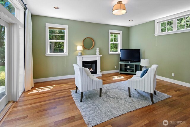 301 Weaver Rd NW, Bainbridge Island, WA 98110 - living area featuring a glass covered fireplace, healthy amount of natural light, wood finished floors, baseboards, and recessed lighting