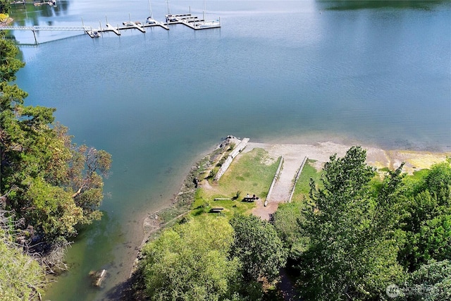 301 Weaver Rd NW, Bainbridge Island, WA 98110 - bird's eye view of a large body of water