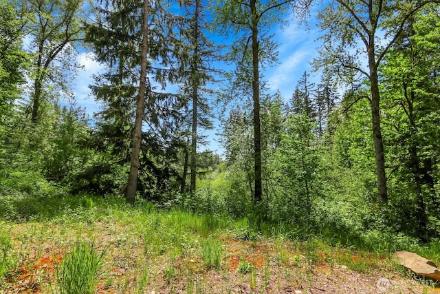 33805 NE Lake Joy Rd, Carnation, WA 98014 - photo 3