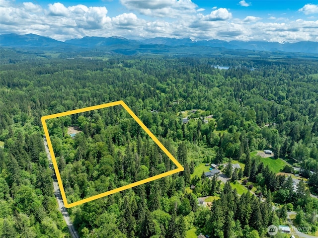 33805 NE Lake Joy Rd, Carnation, WA 98014