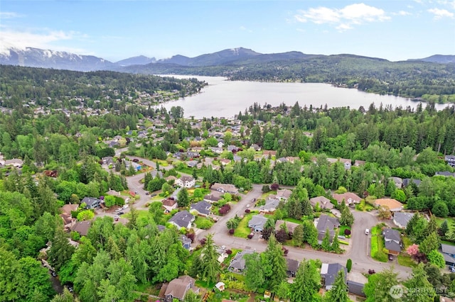 4239 Northridge Way, Bellingham, WA 98226 - bird's eye view of a water and mountain view and a forest