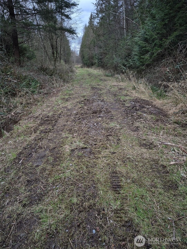 0XX N Sunrise Rd, Blaine, WA 98230