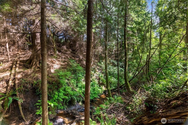 434 N 8th St, Montesano, WA 98563 - view of tree filled area
