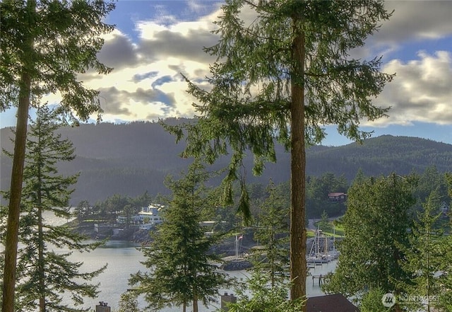 1917 Rosario Rd Unit 2104, Orcas Island, WA 98245 - view of mountain background featuring a nearby body of water
