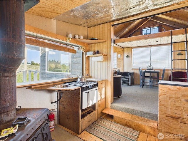 219 Chipmunk Trail Rd, East Wenatchee, WA 98802 - photo 11