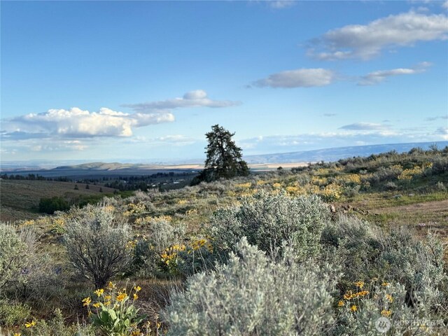 219 Chipmunk Trail Rd, East Wenatchee, WA 98802 - photo 13