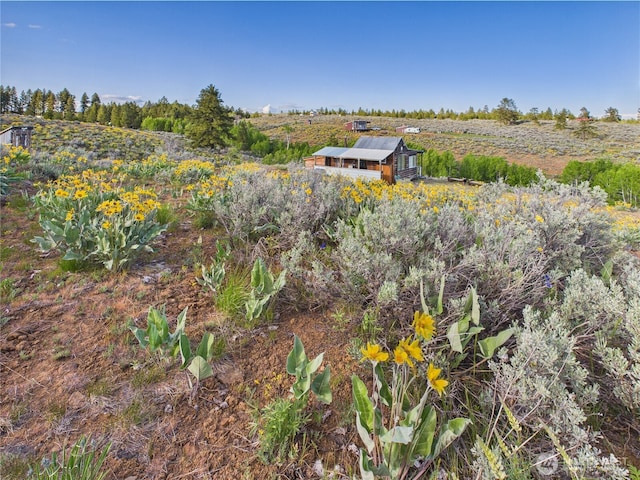 219 Chipmunk Trail Rd, East Wenatchee, WA 98802 - photo 14
