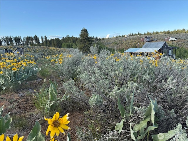 219 Chipmunk Trail Rd, East Wenatchee, WA 98802 - photo 15