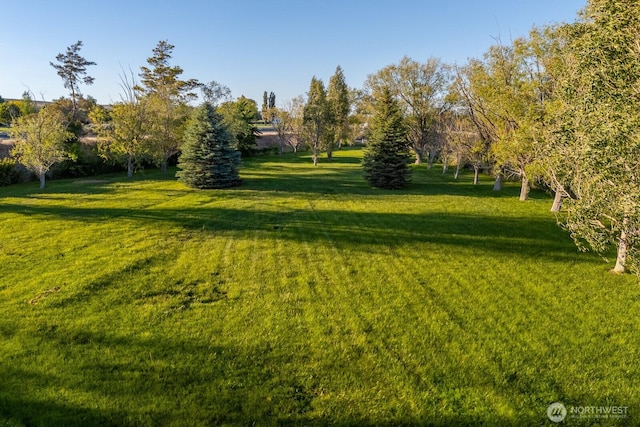 18226 Road B NW, Ephrata, WA 98823 - view of grassy yard