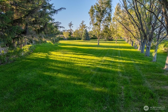 18226 Road B NW, Ephrata, WA 98823 - view of green lawn