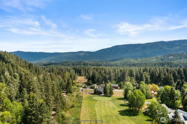 141 Pebble Beach Dr, Cle Elum, WA 98922 - view of mountain backdrop with a forest