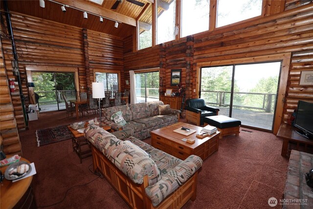 215 Marine Dr, Blakely Island, WA 98222 - carpeted living area with high vaulted ceiling, wooden ceiling, rustic walls, and rail lighting