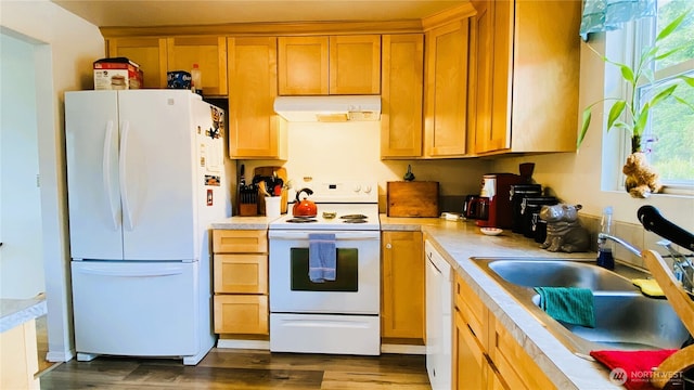 31405 10th Ave S, Federal Way, WA 98003 - kitchen featuring white appliances, under cabinet range hood, a sink, light countertops, and wood finished floors