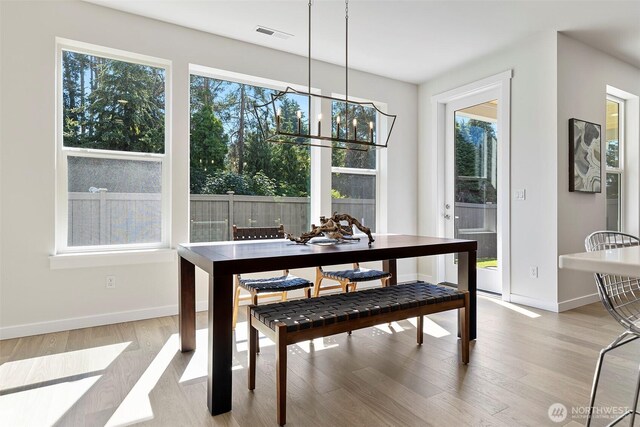 11210 79th Avenue Ct SW, Lakewood, WA 98498 - dining space with plenty of natural light, light wood-style floors, and baseboards
