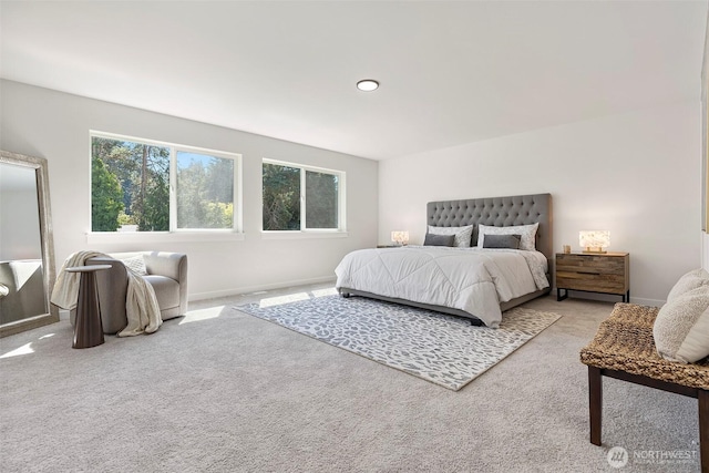 11210 79th Avenue Ct SW, Lakewood, WA 98498 - bedroom featuring multiple windows, carpet flooring, and baseboards