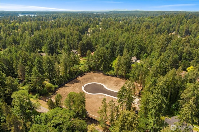 11210 79th Avenue Ct SW, Lakewood, WA 98498 - view of property location featuring a heavily wooded area