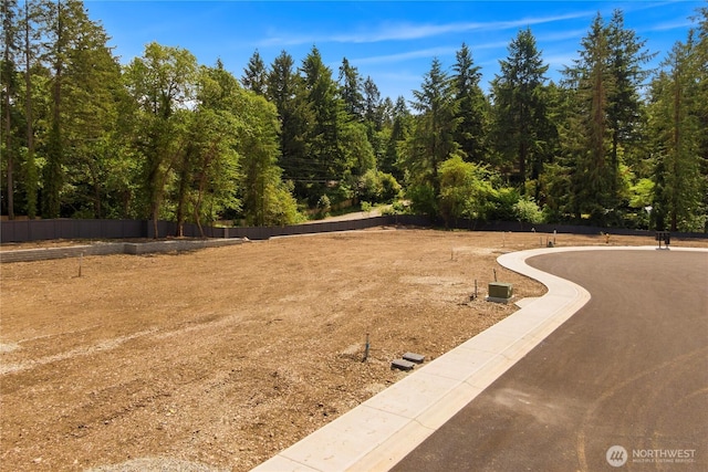 11210 79th Avenue Ct SW, Lakewood, WA 98498 - view of yard