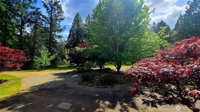 7340 127th Ave SW, Littlerock, WA 98512 - photo 12