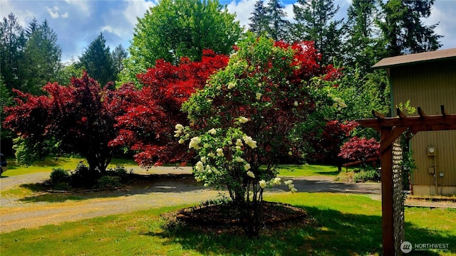 7340 127th Ave SW, Littlerock, WA 98512 - photo 13