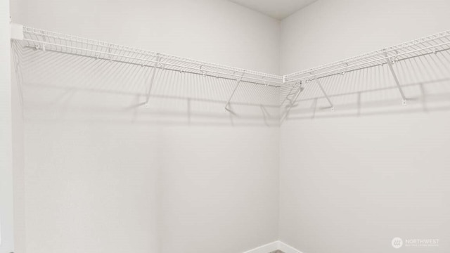 13473 NE 105th Ct Unit 12, Kirkland, WA 98033 - view of walk in closet